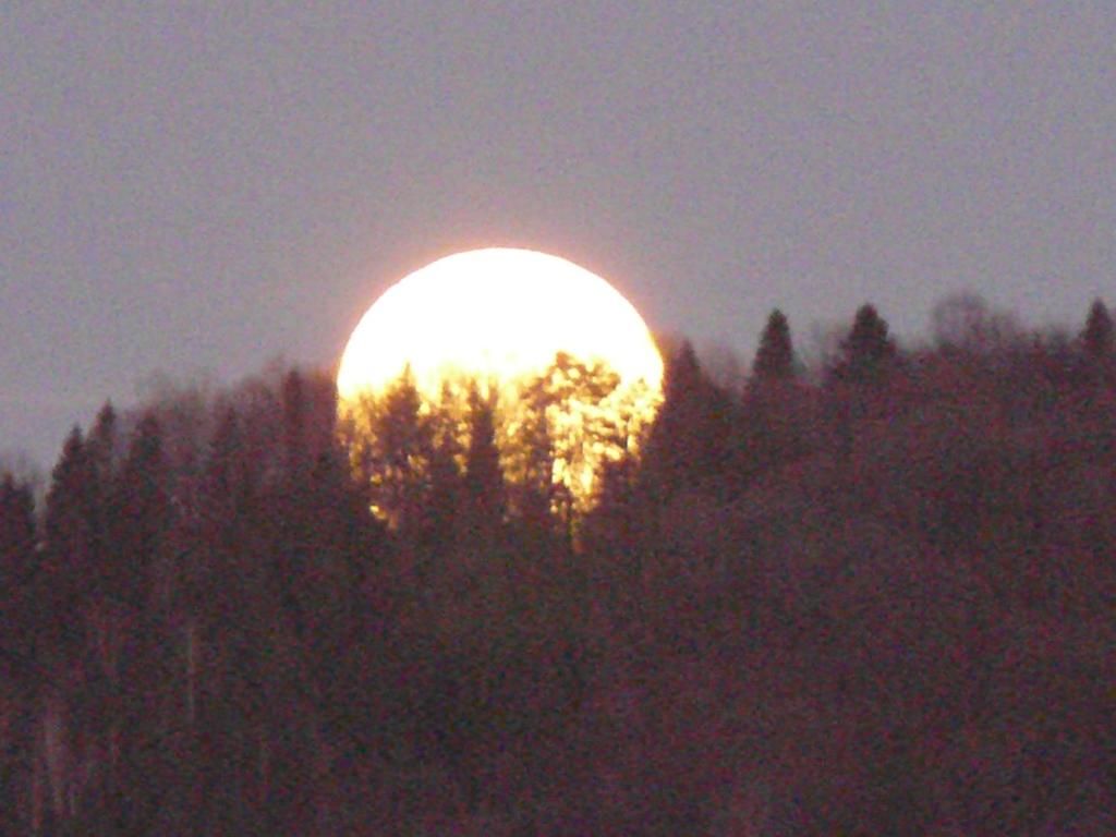 Отель Саламандра гостинний двір Яремче-19