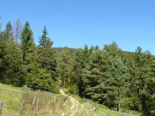 Отель Саламандра гостинний двір Яремче Трехместный номер с балконом-10