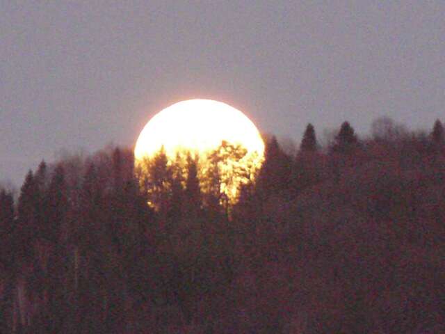 Отель Саламандра гостинний двір Яремче-12