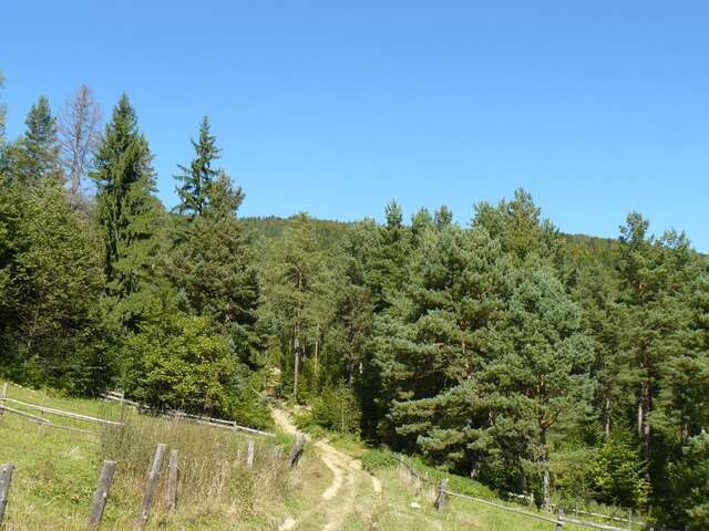 Отель Саламандра гостинний двір Яремче-13